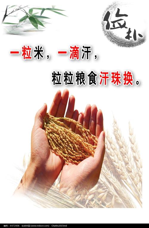 定制希腊数字货币ky认证资料